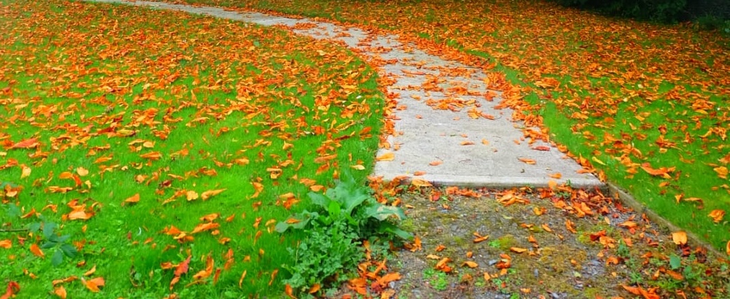 Otoño con Ediciones 98